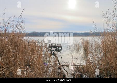 La foto mostra un luogo di pesca situato in fitci di canne su un fiume tranquillo. Foto Stock