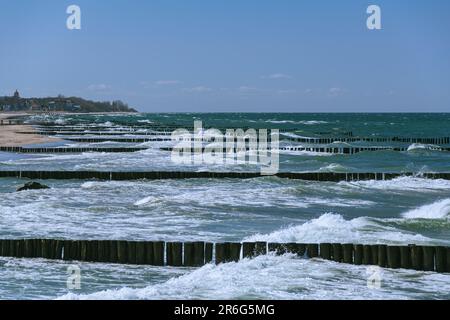 Le inguine impediscono la spiaggia di Kuehlungsborn nel Mar Baltico Foto Stock