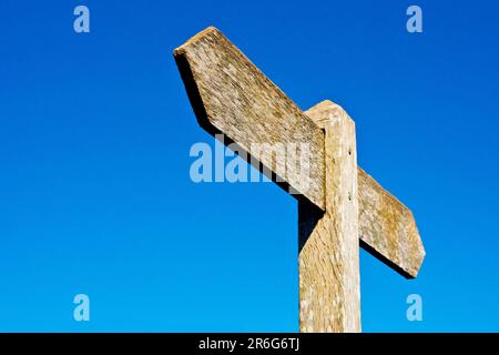 Un cartello in legno bianco, senza direzione, isolato contro un cielo blu chiaro. Concetti - vada il vostro proprio senso, dove, perso, lo compongono mentre andate avanti. Foto Stock