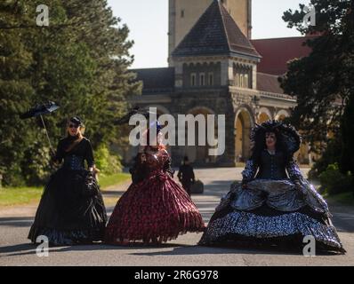 Visitatori del festival Wave-Gotik-Treffen il festival Wave-Gotik-Treffen è un festival mondiale annuale dedicato alla musica 'dark' e alla cultura 'dark' a Lipsia, Germania. Nel 2023 si è giocato dal 26 al 29 maggio e ha raccolto circa 20.000 visitatori e 200 band di diversi generi in diversi luoghi della città. Foto Stock