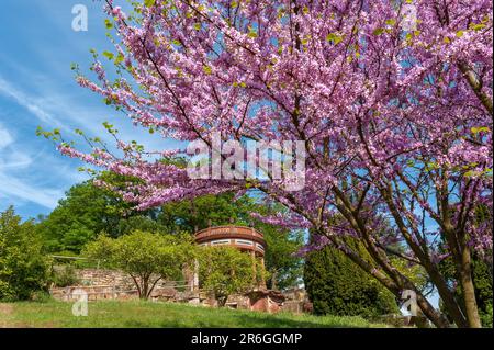 Tempio del sole nell'Orto Botanico, Gleisweiler, Palatinato, Renania-Palatinato, Germania, Europa Foto Stock