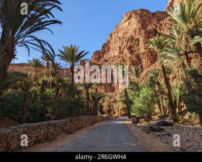 Oasi panoramica Ait Mansour nelle montagne anti-Atlante del Marocco Foto Stock