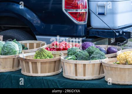 Cesti di prodotti agricoli locali presso il mercato agricolo di Tybee Island, accanto al faro di Tybee Island sulla costa della Georgia, appena a est di Savannah. Foto Stock