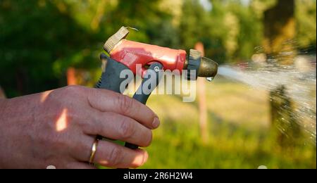 Persona che tiene la pistola a spruzzo con tubo flessibile. Spruzzare acqua. Annaffiatura delle piante in giardino. Foto Stock