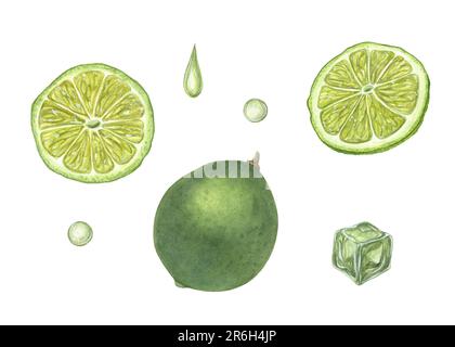 Acquerello insieme di fette e lime intere, gocce, cubetti di ghiaccio isolati su sfondo bianco. Illustrazione botanica degli ingredienti mojito per il menu, cocktai Foto Stock