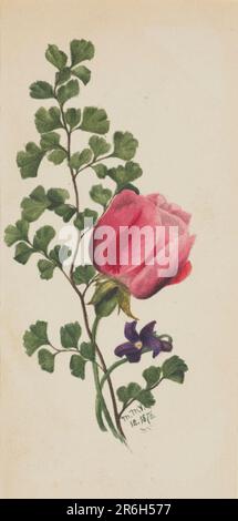 Rosa con viola. Data: 1876. Acquerello su carta. Museo: Smithsonian American Art Museum. Foto Stock