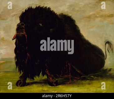 Buffalo morire, colpo con una freccia. olio su tela. Data: 1832-1833. Museo: Smithsonian American Art Museum. Foto Stock