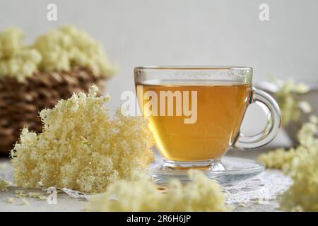 Una tazza di tisana con fiori freschi europei anziani Foto Stock