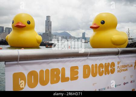 Hong Kong, Hong Kong. 09th giugno, 2023. Due enormi stazioni di anatre gonfiabili a Victoria Harbor. A partire dal 10th giugno 2023, l'attesissima mostra d'arte chiamata "Double Ducks", creata dall'artista olandese Florentijn Hofman, apre ufficialmente al pubblico al Victoria Harbor di Hong Kong. La mostra presenta due enormi anatre gonfiabili. E questo segna la seconda visita della gigantesca anatra gonfiabile a Hong Kong, con la prima che si è svolta un decennio fa. (Foto di Michael ho Wai Lee/SOPA Images/Sipa USA) Credit: Sipa USA/Alamy Live News Foto Stock