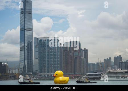 Hong Kong, Hong Kong. 09th giugno, 2023. Un'enorme anatra gonfiabile è trainata dalle barche a Victoria Harbor. A partire dal 10th giugno 2023, l'attesissima mostra d'arte chiamata "Double Ducks", creata dall'artista olandese Florentijn Hofman, apre ufficialmente al pubblico al Victoria Harbor di Hong Kong. La mostra presenta due enormi anatre gonfiabili. E questo segna la seconda visita della gigantesca anatra gonfiabile a Hong Kong, con la prima che si è svolta un decennio fa. (Foto di Michael ho Wai Lee/SOPA Images/Sipa USA) Credit: Sipa USA/Alamy Live News Foto Stock