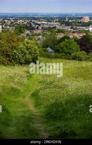 Sentiero che conduce alla vista su Cheltenham dalla collina di Leckhampton in una luminosa giornata di sole Foto Stock