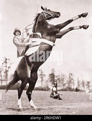 1920S DONNA CIRCUS EQUESTRE GUARDANDO LA MACCHINA FOTOGRAFICA EQUITAZIONE SIDESADDLE SU GRANDE ALLEVAMENTO CAVALLO - Q73249 CPC001 HARS FITNESS PERSONE ISPIRAZIONE PERICOLO PROFESSIONE TRASPORTO OCCHI E B CONTATTO PERFORMING ARTS ABILITÀ PROFESSIONE ABILITÀ MAMMIFERI ALLEVAMENTO PERICOLOSO PERFORMER FORZA CARRIERE ECCITAZIONE BASSO ANGOLO POTENTE AUTORITÀ RISCHIOSA ENTERTAINER OCCUPAZIONI PERICOLOSE ATTORI PERIL CIRCUS ATTO PERICOLO SIDESADDLE INTRATTENITORI MAMMIFERO MEDIO-ADULTO DONNA MEDIO-ADULTO ESECUTORI ETNIA CAUCASICA BIANCA E NERA EQUESTRE VECCHIO STILE Foto Stock