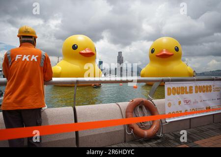 Hong Kong, Hong Kong. 09th giugno, 2023. Due enormi stazioni di anatre gonfiabili a Victoria Harbor. A partire dal 10th giugno 2023, l'attesissima mostra d'arte chiamata "Double Ducks", creata dall'artista olandese Florentijn Hofman, apre ufficialmente al pubblico al Victoria Harbor di Hong Kong. La mostra presenta due enormi anatre gonfiabili. E questo segna la seconda visita della gigantesca anatra gonfiabile a Hong Kong, con la prima che si è svolta un decennio fa. (Foto di Michael ho Wai Lee/SOPA Images/Sipa USA) Credit: Sipa USA/Alamy Live News Foto Stock