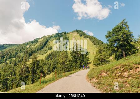 Natura sfondo con bella valle alpina estiva Foto Stock