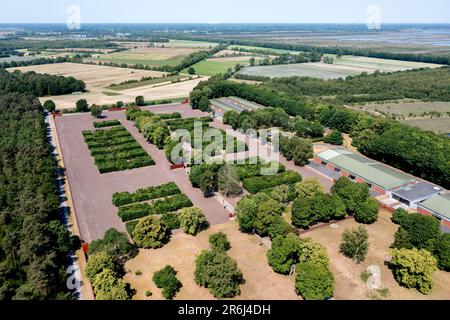 Esterwegen, Germania. 09th giugno, 2023. Cespugli sul terreno del Memoriale di Esterwegen commemorano le ex caserme del campo di concentramento di Esterwegen (fotografia aerea scattata dal drone). Tra il 1933 e il 1945, i socialisti nazionali gestivarono i 15 cosiddetti campi di Emsland sul territorio delle contee di Emsland e Grafschaft Bentheim. Il memoriale di Esterwegen è stato aperto nel 2011. (A dpa 'feroce disputa pesa sul memoriale nazista in Emsland') Credit: Hauke-Christian Dittrich/dpa/Alamy Live News Foto Stock