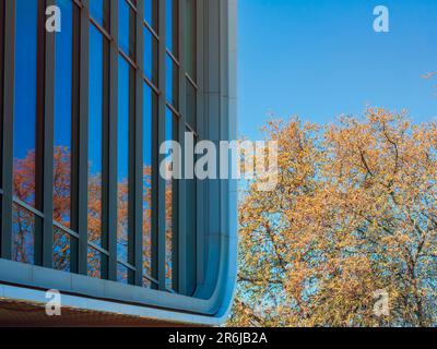 Riflessione dell'albero in un edificio in acciaio e vetro Foto Stock