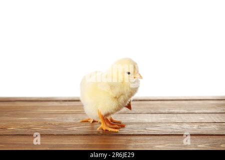 Pulcini piccoli carini su un tavolo di legno su sfondo bianco Foto Stock