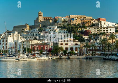 LUNGOMARE CITTÀ VECCHIA IBIZA ISOLE BALEARI SPAGNA Foto Stock