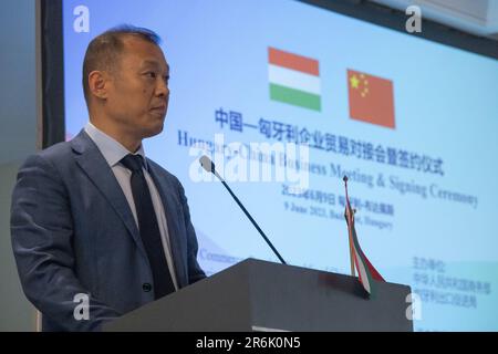 Budapest, Ungheria-Cina incontro d'affari e cerimonia di firma a Budapest. 9th giugno, 2023. Liu Bo, ministro-consigliere dell'Ambasciata cinese in Ungheria, interviene durante il meeting economico Ungheria-Cina e la cerimonia di firma a Budapest, in Ungheria, il 9 giugno 2023. L'incontro economico Ungheria-Cina e la cerimonia di firma si sono svolte qui venerdì, nell'ambito di una serie di eventi di promozione commerciale per promuovere le relazioni economiche e commerciali tra i due Paesi. Credit: Attila Volgyi/Xinhua/Alamy Live News Foto Stock