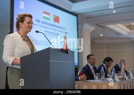 Budapest, Ungheria-Cina incontro d'affari e cerimonia di firma a Budapest. 9th giugno, 2023. Adrienn Gobel, direttore generale del Dipartimento per lo sviluppo delle esportazioni del Ministero degli Affari Esteri e del Commercio dell'Ungheria, interviene durante il meeting economico Ungheria-Cina e la cerimonia di firma a Budapest, in Ungheria, il 9 giugno 2023. L'incontro economico Ungheria-Cina e la cerimonia di firma si sono svolte qui venerdì, nell'ambito di una serie di eventi di promozione commerciale per promuovere le relazioni economiche e commerciali tra i due Paesi. Credit: Attila Volgyi/Xinhua/Alamy Live News Foto Stock