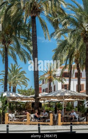 CAFFÈ ALL'APERTO AVENIDA DE LES ANDANES LUNGOMARE CENTRO STORICO IBIZA ISOLE BALEARI SPAGNA Foto Stock