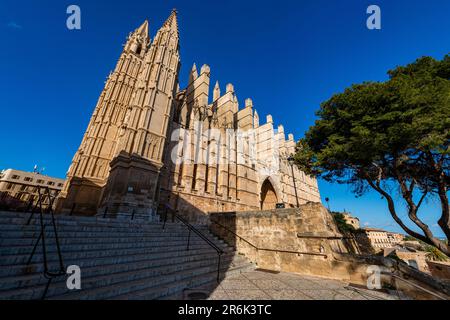 Cattedrale di Palma, Maiorca, Isole Baleari, Spagna, Mediterraneo, Europa Foto Stock
