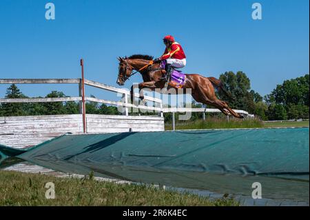 WROCLAW, POLONIA - 4 GIUGNO; 2023: Ippodromo WTWK Partynice. Corsa internazionale con ostacoli per cinque anni e cavalli più vecchi. Foto Stock