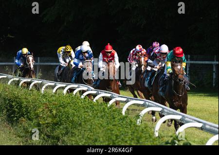 WROCLAW, POLONIA - 4 GIUGNO; 2023: Gara internazionale per tre anni cavalli gruppo III all'ippodromo WTWK Partynice. Foto Stock