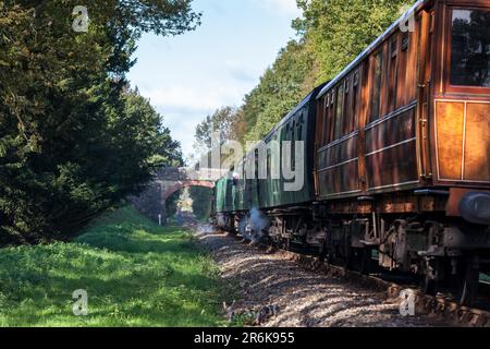 Festival del vapore alla ferrovia Bluebell 2010 Foto Stock