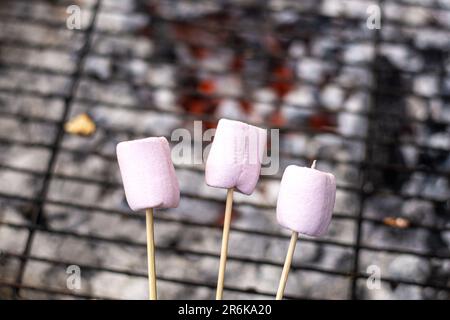 Marshmallows tostati su bastone di legno. Delizie alla griglia per i bambini. Foto Stock
