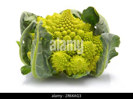 Romanesco cavoli broccoli (o cavolo romano) isolato su sfondo bianco Foto Stock