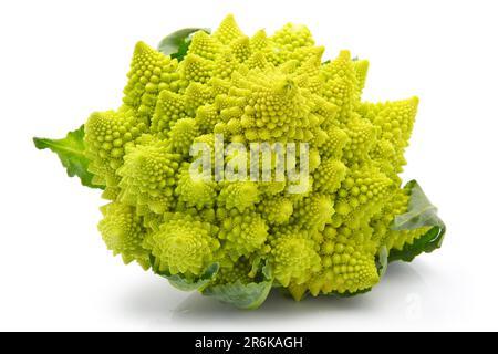 Romanesco cavoli broccoli (o cavolo romano) isolato su sfondo bianco Foto Stock