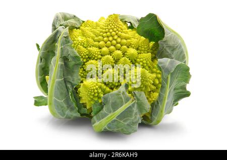 Romanesco cavoli broccoli (o cavolo romano) isolato su sfondo bianco Foto Stock