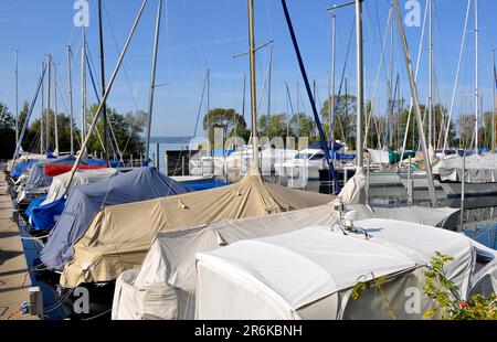 Sul lago di Costanza, porticciolo vicino Immenstaad Foto Stock