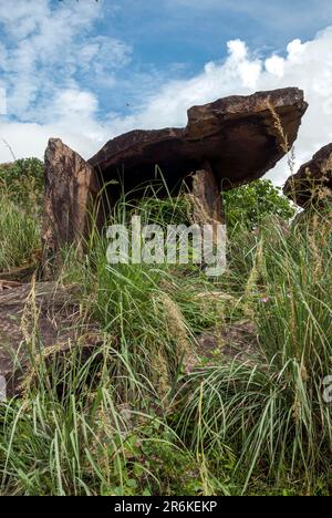 Camere megalitiche di Dolmen Muniyaras a Kovilkadavu vicino Maraiyur Maraiyoor Munnar nel distretto di Idukki, Kerala, India del Sud, India, Asia Foto Stock