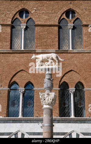 Statua della Lupa Romana, romana, di fronte alla Cattedrale di Santa Maria Assunta, Siena, Toscana, Italia Foto Stock