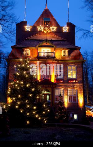 Ritzebuettel Castello a Natale Cuxhaven, albero di Natale, bassa Sassonia, Germania Foto Stock