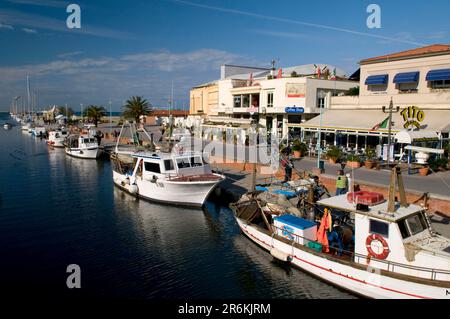 Barche, Porto, Viareggio, Toscana, Italia Foto Stock