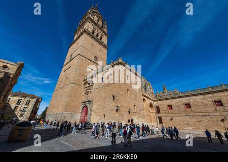 Salamanca, Salamanca, patrimonio dell'umanità dell'UNESCO, Castiglia e Leon, Spagna, Europa Foto Stock