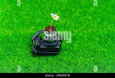 Daisy germogliando da un obiettivo di fotocamera in miniatura posto su un prato verde. Il concetto di un'armoniosa Unione tra natura e fotografia Foto Stock