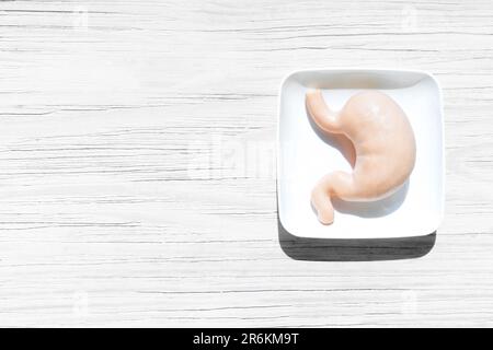 Riproduzione in miniatura dello stomaco umano posta su un vassoio bianco, su uno sfondo di legno bianco. Presentazioni mediche, materiali didattici, anatomia Foto Stock