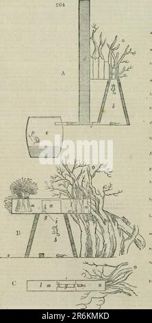 Un'enciclopedia dell'agricoltura [risorsa elettronica] : comprendente la teoria e la pratica della valutazione, trasferimento, stesura, miglioramento e gestione della proprietà fondiaria, e la coltivazione e l'economia delle produzioni animali e vegetali dell'agricoltura, compresi tutti gli ultimi miglioramenti, una storia generale dell'agricoltura in tutti i paesi, E una visione statistica del suo stato attuale, con suggerimenti per il suo futuro progresso nelle Isole Britanniche Foto Stock