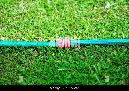 Collegamento in plastica di tubi flessibili con acqua, in giardino Foto Stock