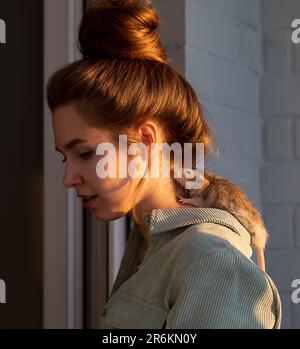 carino ratto sulla spalla di una bella giovane ragazza Foto Stock