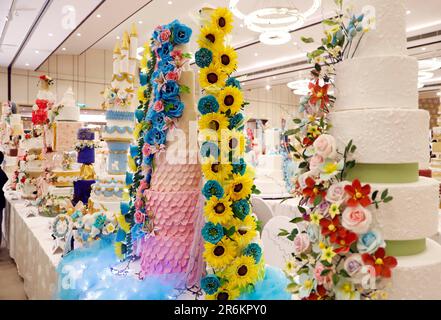 Colombo. 10th giugno, 2023. Questa foto scattata il 10 giugno 2023 mostra una scena in una mostra di vari disegni di torte a Colombo, Sri Lanka. Credit: Ajith Perera/Xinhua/Alamy Live News Foto Stock