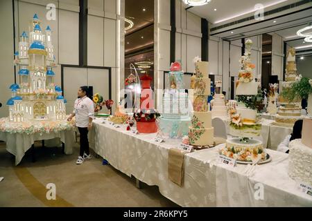 Colombo. 10th giugno, 2023. Questa foto scattata il 10 giugno 2023 mostra una scena in una mostra di vari disegni di torte a Colombo, Sri Lanka. Credit: Ajith Perera/Xinhua/Alamy Live News Foto Stock