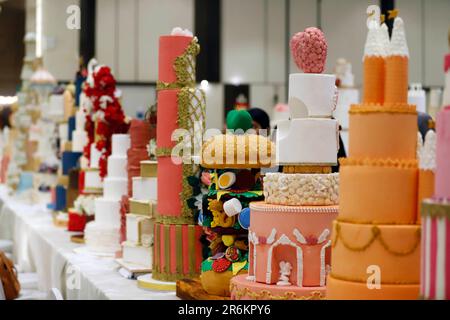 Colombo. 10th giugno, 2023. Questa foto scattata il 10 giugno 2023 mostra una scena in una mostra di vari disegni di torte a Colombo, Sri Lanka. Credit: Ajith Perera/Xinhua/Alamy Live News Foto Stock