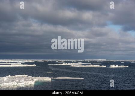 Galleggianti di ghiaccio con Iceberg tabulare in distanza, Mare di Amundsen, Antartide Foto Stock