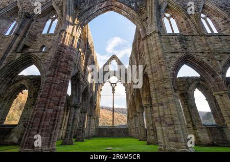Le rovine di Tintern Abbey, fondata nel 1131 da monaci cistercensi, Monmouthshire, Galles, Regno Unito, Europa Foto Stock