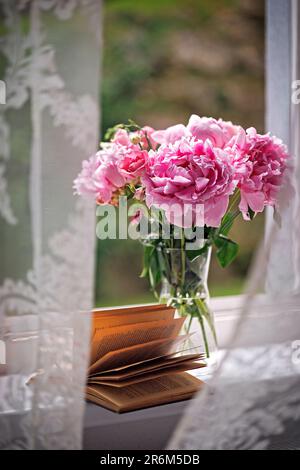 Bouquet di eleganti peonie rosa in vaso di vetro trasparente e libro aperto sul davanzale Foto Stock